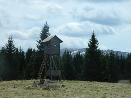 Pod Kráľovou Hoľou.