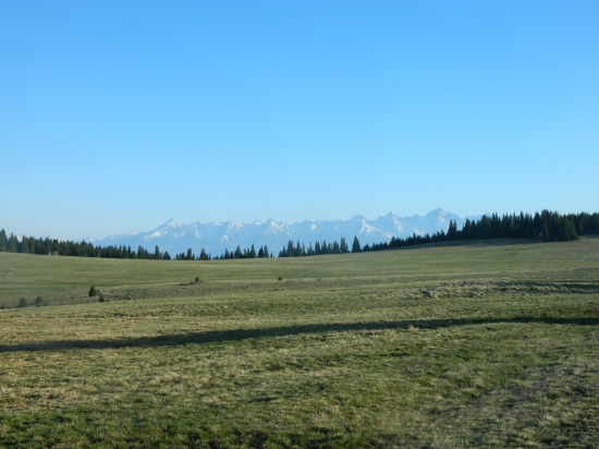 Krajina.