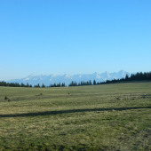 Krajina.