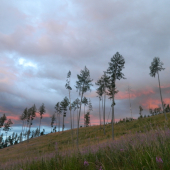 Keď som išiel za jeleňom.