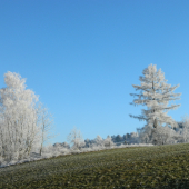 Konečne sa vyjasnilo.