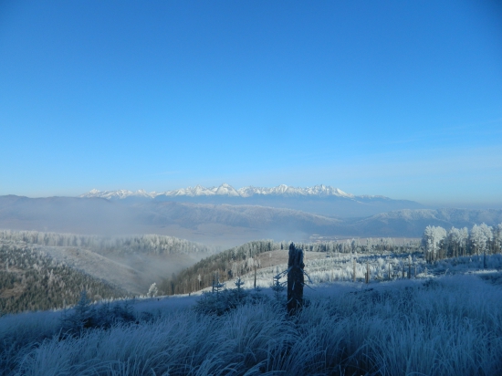 Tieto pohľady milujem.