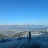 Tieto pohľady milujem.