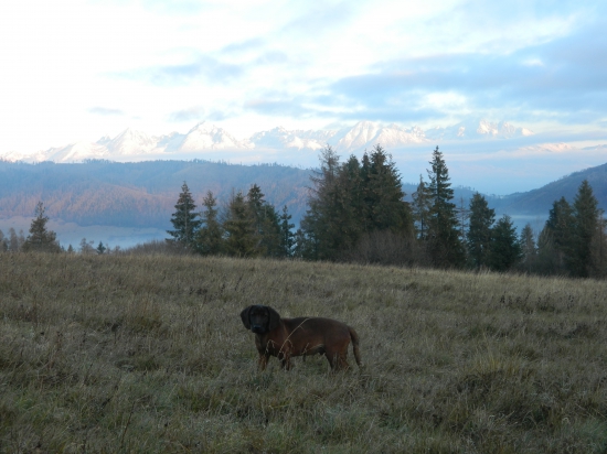 Na prechádzke s Alexom.