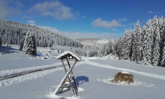 Keď počasie praje.