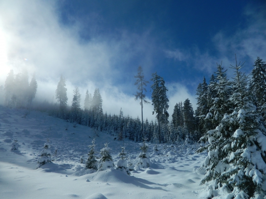 Premenlivé počasie.