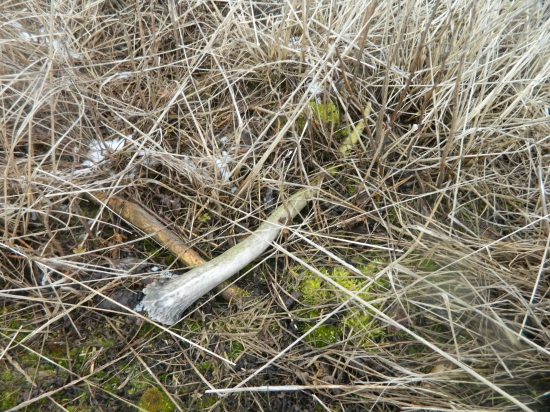 Aj takýto ma potešil.