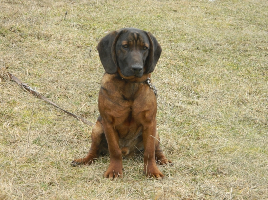 Trénujeme odloženie.