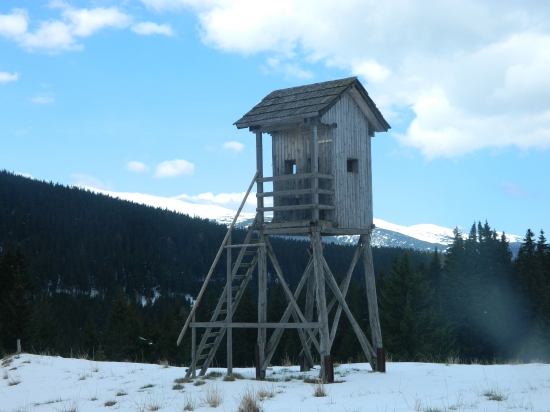 Pod Kráľovou hoľou.