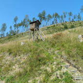 Na doline.