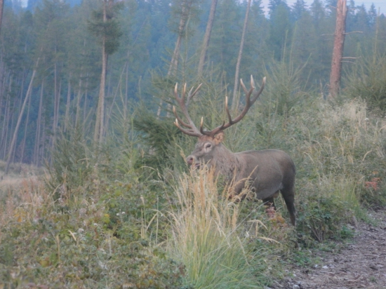 Nepr.osemnástorák pred zotmením.