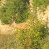 Spal postojačky.