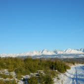 Novoročná prechádzka.