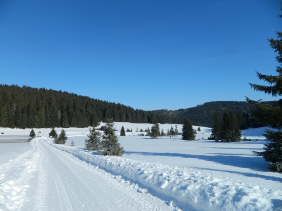Zimná krajina.