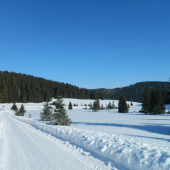 Zimná krajina.