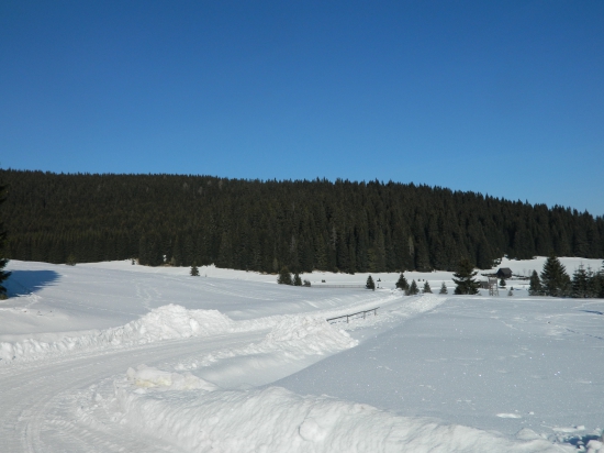 Zimná krajina.