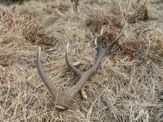 Stačilo 10metrov a bol by moj!