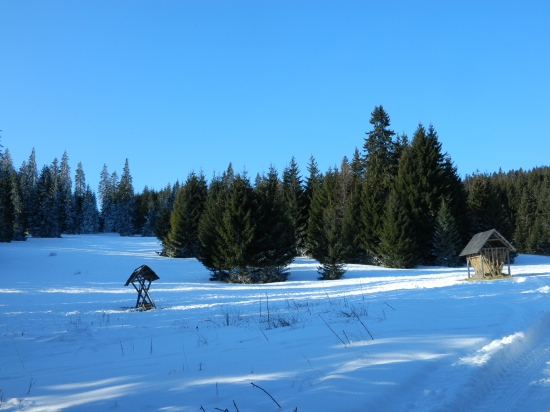 Na nedeľnej prechádzke.