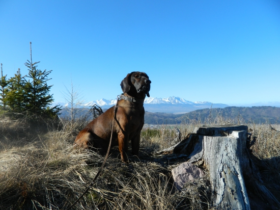 Na Veľkonočnu nedeľu.