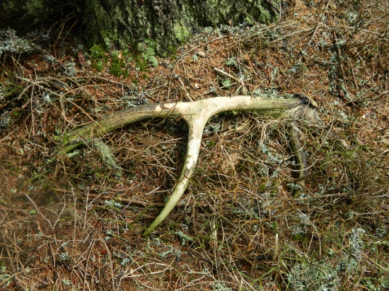 Keď neprší,aspoň kvapká.