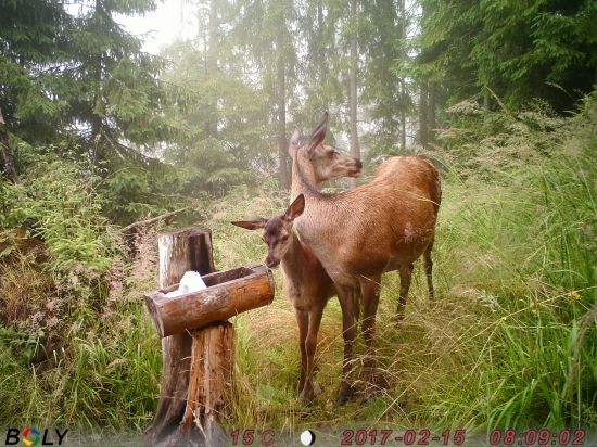 V upršanom počasí.