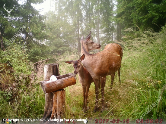 V upršanom počasí.