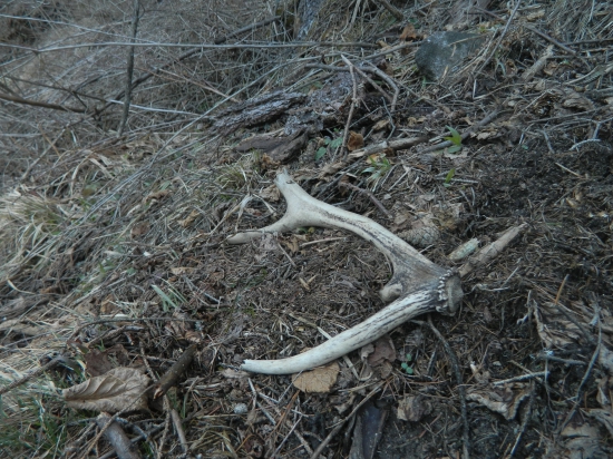 Starý,ale potešil...