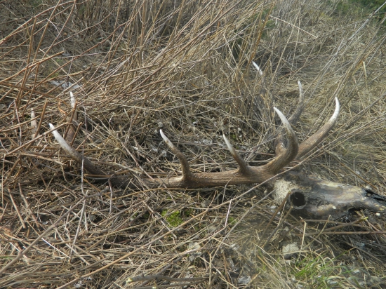 Tlak stupal veľmi rýchlo!