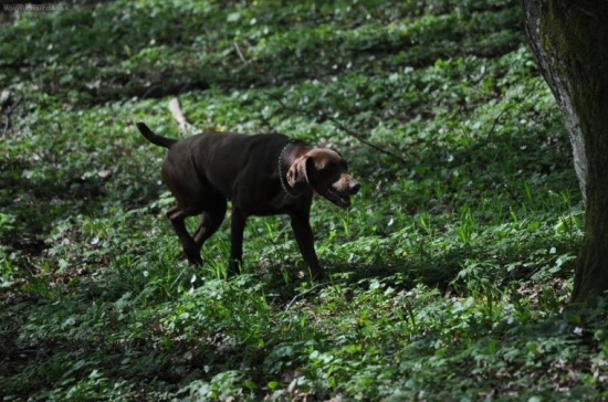 Hili z Ludanskej doliny
