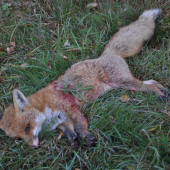 Konečne sadlo stastie aj na mňa