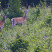 Tak a tu sú už posledný