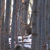 Ten druhý má ešte čas