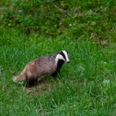Keď sa tma blížila
