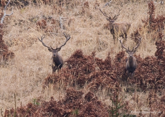 Najväčší zo 150-tich