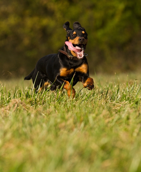 Privolačka 9 mesiacov :-)
