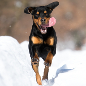 Gero z pod Hírky na ceste k pánikovi