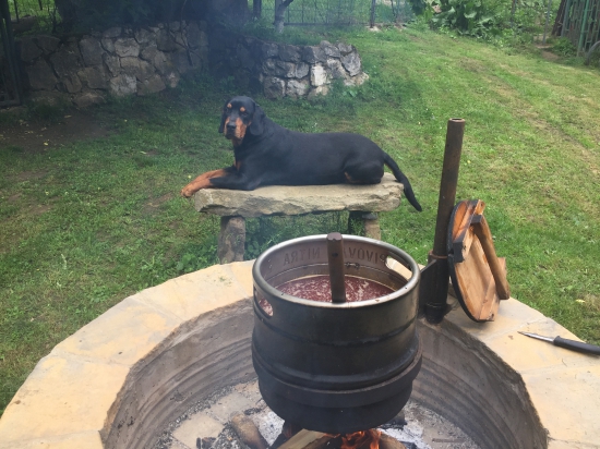 Dozor pri varení poľovníckeho gulasu