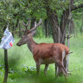 Čo dobré mi priniesli z Jednoty?