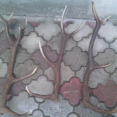 14-ak je moj a ostatne 2 su svagrove