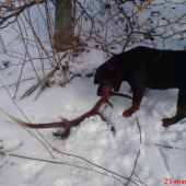 Parťakov prvý, 2kg