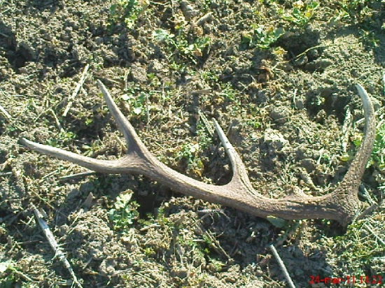 konečne po dvoch mesiacoch chodenia