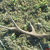 konečne po dvoch mesiacoch chodenia