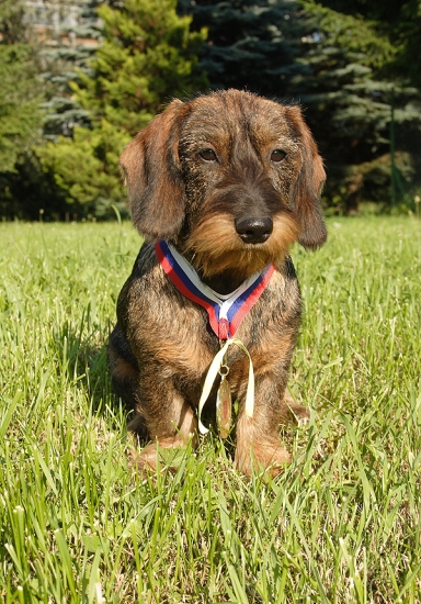 Charlotte Horalka - VN1