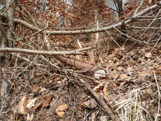 zo včerajška-(iný pohľad)