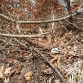 zo včerajška-(iný pohľad)