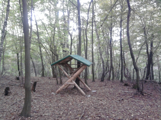 moja práca -tesne po dokončení