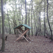 moja práca -tesne po dokončení