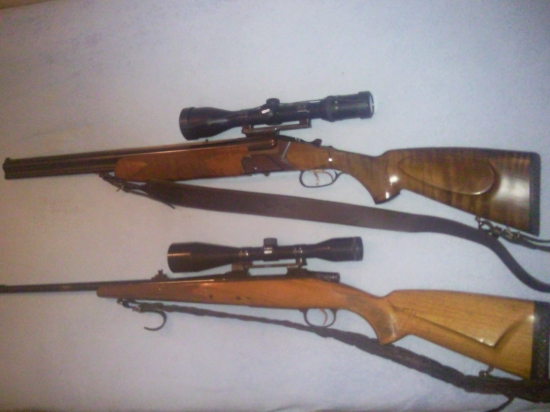 cz 584 a cz 550
