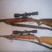 cz 584 a cz 550