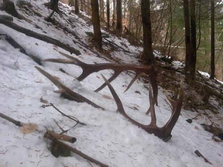 nádherný prvý pohľad